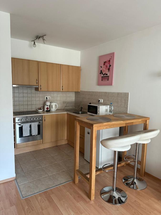 Apartment With Garage, Free Parking Budapest